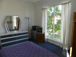 洛杉矶威尔希尔桔子酒店的一间卧室设有紫色的床和窗户