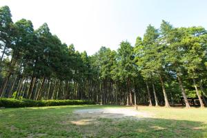 千叶Showa Forest Village的一座有一堆树的公园