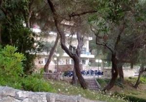 拉卡阿姆非特利特酒店及一室公寓的建筑前的一群树木