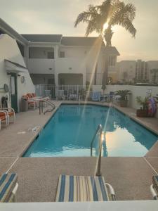 南帕诸岛Bahama Breeze #2 Sea Dancer Condos的一个棕榈树背景的大型游泳池