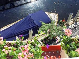 斯特伦斯塔德7 person holiday home in STR MSTAD的桌子上一束盆栽植物和花