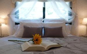 库尼特卡梅塔旅馆的书上有一朵花在床上