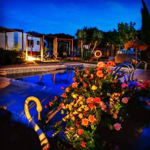 蒙萨拉什圣卡塔里娜山旅馆的旁边一个花团锦簇的游泳池