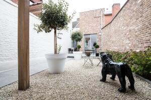 波佩林赫Maison de la Paix的坐在砾石庭院里的黑狗雕像