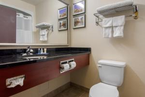莱维斯Comfort Inn & Suites Levis / Rive Sud Quebec city的一间带卫生间、水槽和镜子的浴室