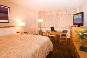 纳尔逊堡兀兰旅馆及套房的酒店客房配有一张床、一张书桌和一台笔记本电脑