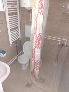 RudnoApartments Vila Selena - Golija的一间带卫生间和淋浴帘的浴室
