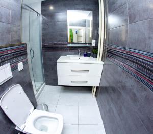 克拉托维Modern Apartment Klatovy的一间带卫生间、水槽和镜子的浴室