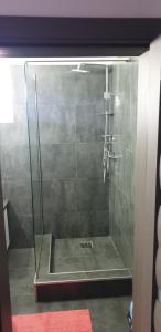 克卢日-纳波卡Guest House Andrei的浴室里设有玻璃门淋浴
