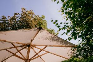 诺德奈Vier Häuser的树旁的白色遮阳伞