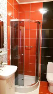 热舒夫Hotel TWIERDZA的带淋浴、水槽和卫生间的浴室
