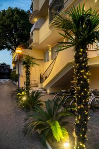 里米尼皇后公寓式酒店的一座灯火通明的建筑前的棕榈树