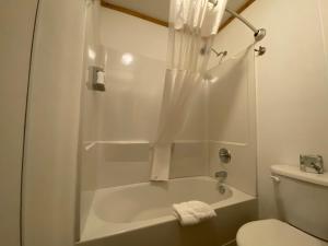 乌雷林木山脉旅舍的一间浴室