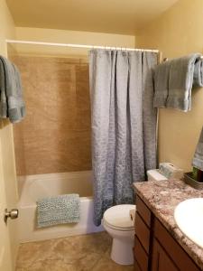 土桑Tucson Airport Oasis的带淋浴帘和卫生间的浴室
