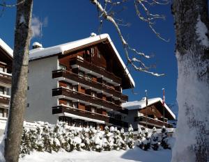 格林德尔瓦尔德里斯登公寓酒店的雪地中的一座建筑,有雪覆盖的灌木丛
