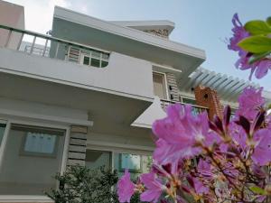 光州比于尔巴姆宾馆的前面有粉红色花的白色房子