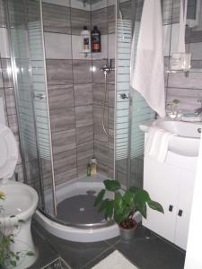 吉泽拉一室公寓酒店的一间浴室
