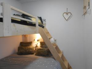 拉萨尔莱阿尔佩Charmant T2 en DUPLEX ARAVET113的一间卧室配有带枕头的双层床