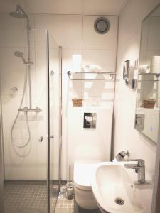 Grotli葛洛特里赫耶尔酒店的带淋浴、卫生间和盥洗盆的浴室