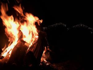 布兰兹阿莱百特农庄酒店的暗中燃烧的火,在树的背景中燃烧