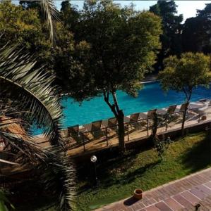 恰纳卡莱艾瑞斯酒店的享有带椅子和树的游泳池的景色