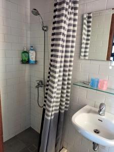 台南复古小屋的浴室配有淋浴帘和盥洗盆。