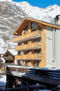 采尔马特Carina - Design&Lifestyle hotel的一座有雪覆盖的山的木质建筑