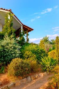 Vineyard Country House with Panoramic Seaview外面的花园