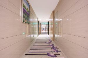 河源麗枫酒店·河源万隆城店的走廊上一层地毯