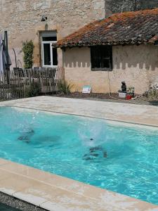 欧什A CLAIREFONTAINE的两个海豚在房子前的游泳池游泳
