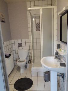 蒙特索克莱瑟通La Nouvelle Diligence的浴室配有卫生间、盥洗盆和淋浴。