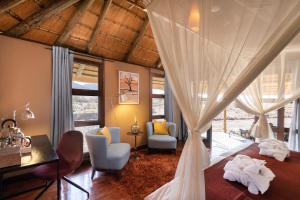 塞斯瑞姆Hoodia Desert Lodge的一间卧室配有床、窗帘和椅子