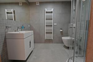 多尔尼莫拉瓦Apartmány Chata Večernice的一间带水槽和卫生间的浴室