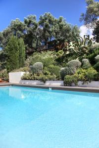 奥尔梅托L'Hostellerie du Moulin des Oliviers的一座种植了植物和树木的大型蓝色游泳池