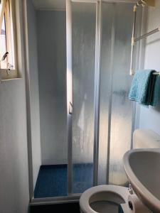 米茨兰Chalet Kocky的带淋浴、卫生间和盥洗盆的浴室