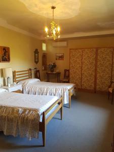 Trivignano Udinese卡萨安缇卡蒙莎依奇酒店的一间卧室配有两张床和吊灯。