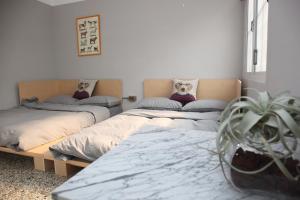 台南纳春公寓民宿的一间种植了盆栽的房间里,有两张床