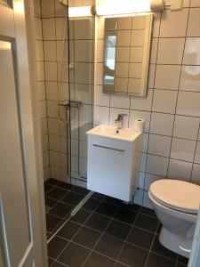 莫舍恩Mosjøen Overnatting, Vollanvegen 13的一间带卫生间、水槽和镜子的浴室