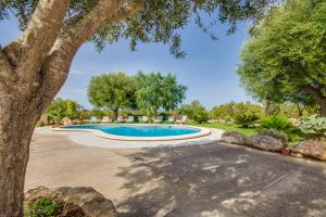 圣玛加利达Ideal Property Mallorca - Vernissa的树荫庭院中的游泳池