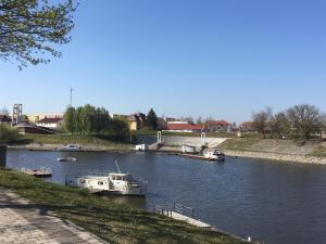 包姚Főtér Panzió的一群船停靠在河里