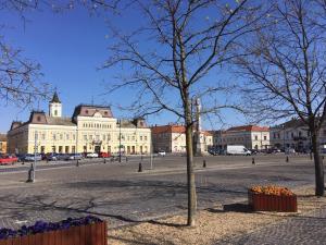 包姚Főtér Panzió的前面有一棵树的白色大建筑