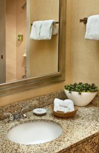 西塔科海岸门户酒店的浴室的柜台设有水槽和镜子