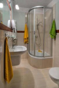 查普伊Villa Baltic - Apartament Chałupy nr 6的带淋浴和盥洗盆的浴室