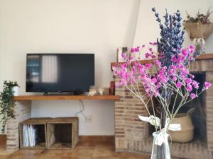 阿尔武希耶斯Casa Palau - Relax y naturaleza a los pies del Montseny Arbúcies的客厅设有壁炉和带紫色花卉的花瓶