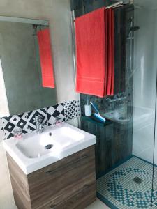 塔尔诺斯Maison d'hôtes MIRADOUR的浴室配有水槽、淋浴和红色毛巾