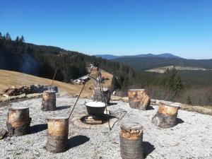 比拉Chata Wostry的山上一组木头和烤架