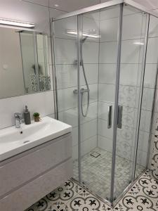考纳斯COZY Nest apartment in Kaunas的一间带玻璃淋浴和水槽的浴室