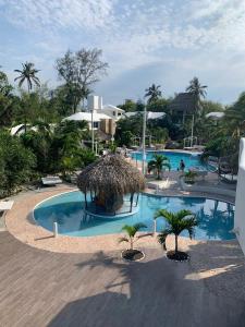 翡翠海岸本吉瑟斯酒店的度假村内一座种有棕榈树的大型游泳池