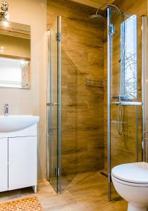 扎托尔Apartamenty-Obok的带淋浴、卫生间和盥洗盆的浴室