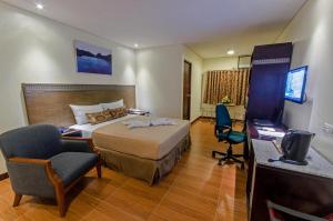 公主港普林塞萨港费瑟尔酒店的配有一张床和一张书桌的酒店客房